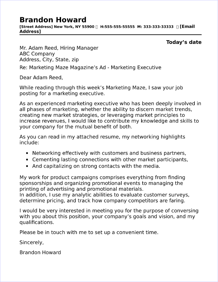 application letter for sales executive post